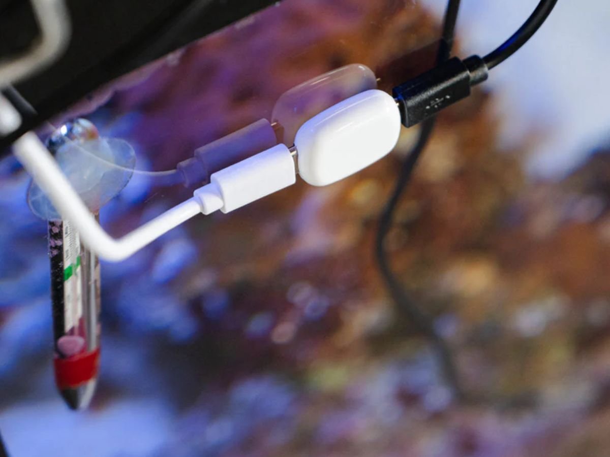 The Pill by Shelly, a compact sensor accessory with dual connectivity, designed to make regular sensors smart and support various input and output types, including voltage and temperature monitoring, with a compact design and user-centric features.