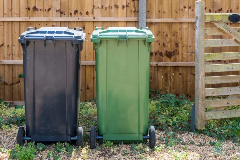 UK bin collection rules 2026 changes