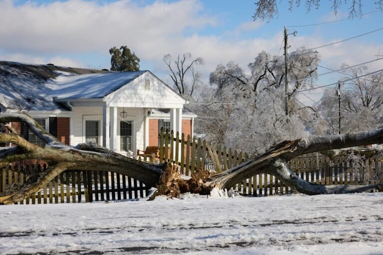 winter storms hit uk citrus industry