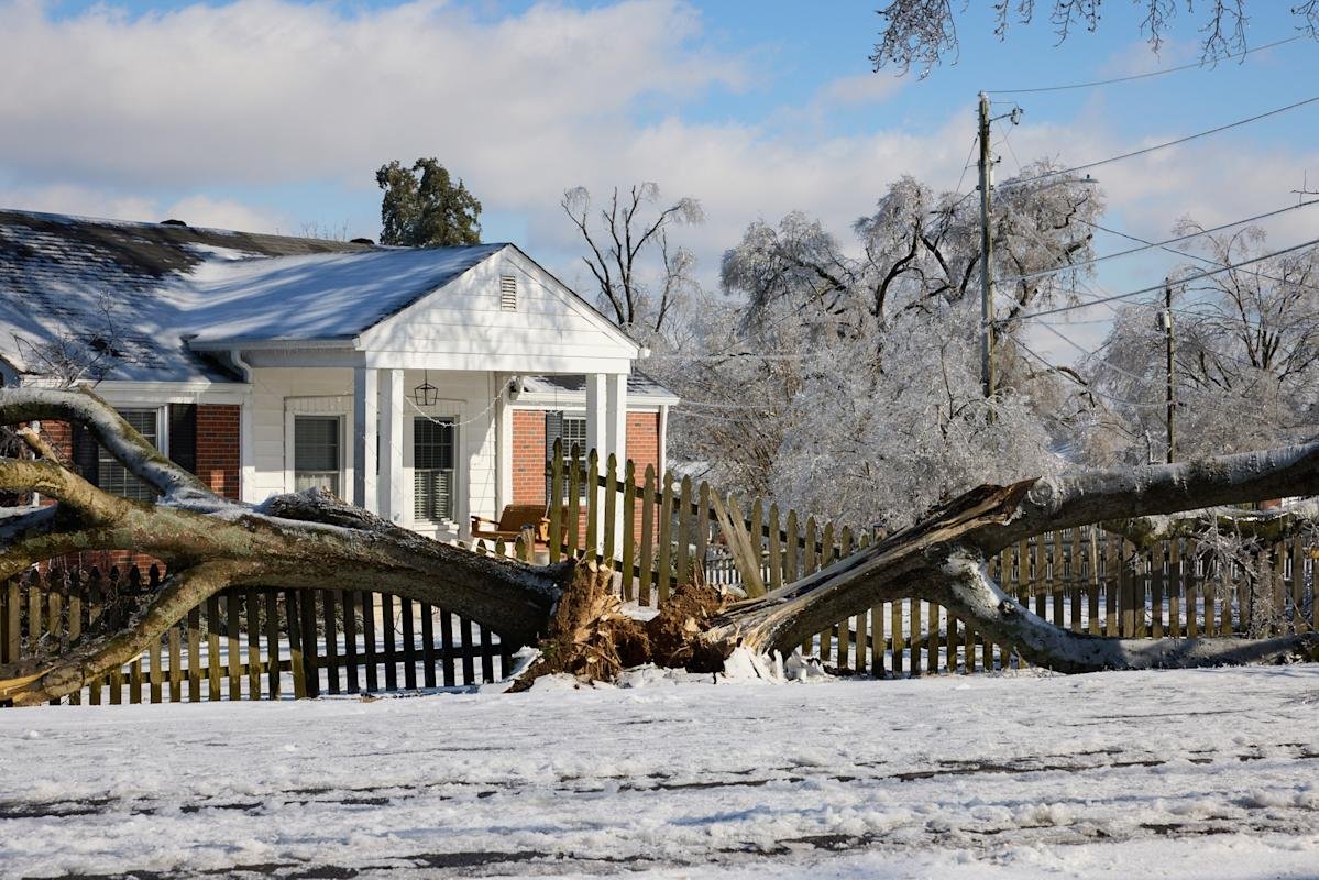 winter storms hit uk citrus industry