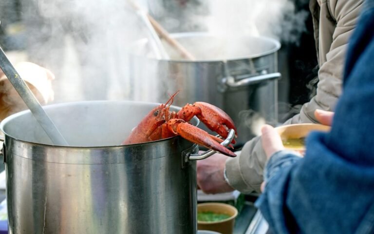 live lobster in a tank