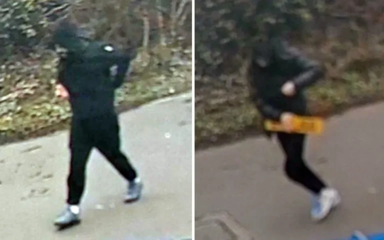 Hit-and-run incident scene with number plate