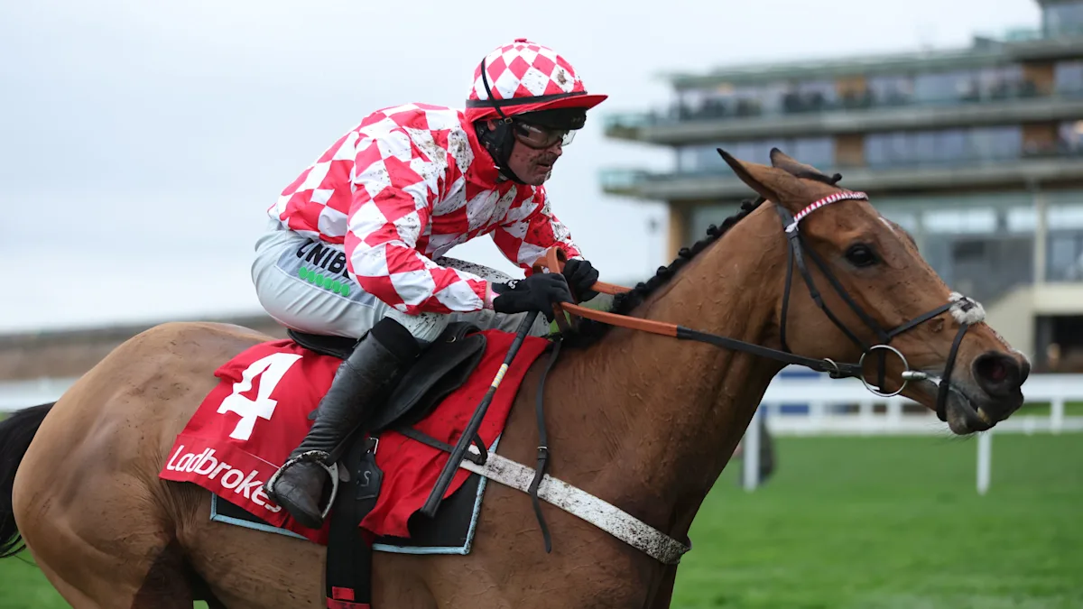 Cheltenham Festival horses in action