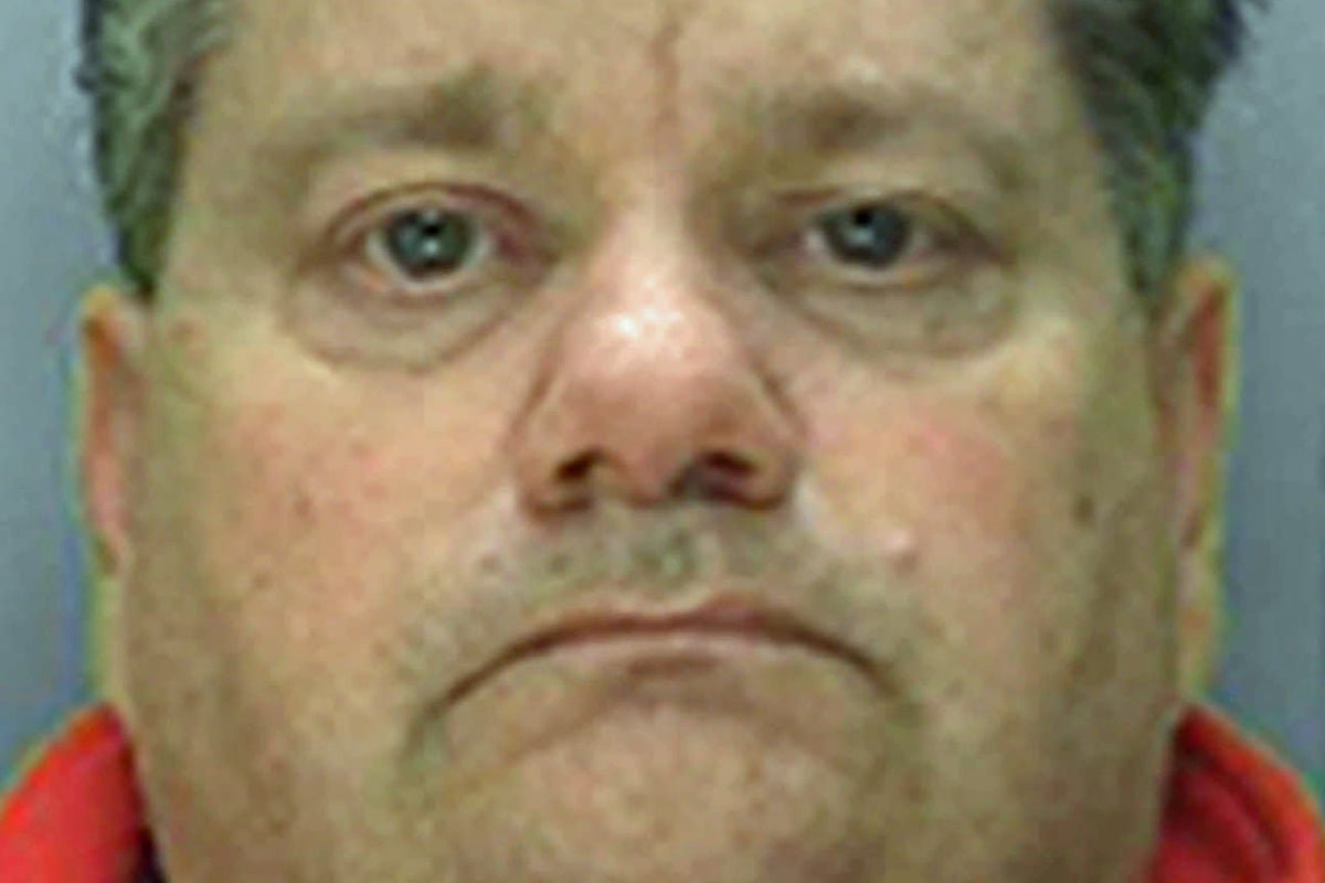 A paedophile who made false claims of a VIP abuse ring, resulting in a costly police investigation, has been freed from jail early, sparking controversy and raising questions about the criminal justice system, with a focus on the impact of bogus allegations on the community