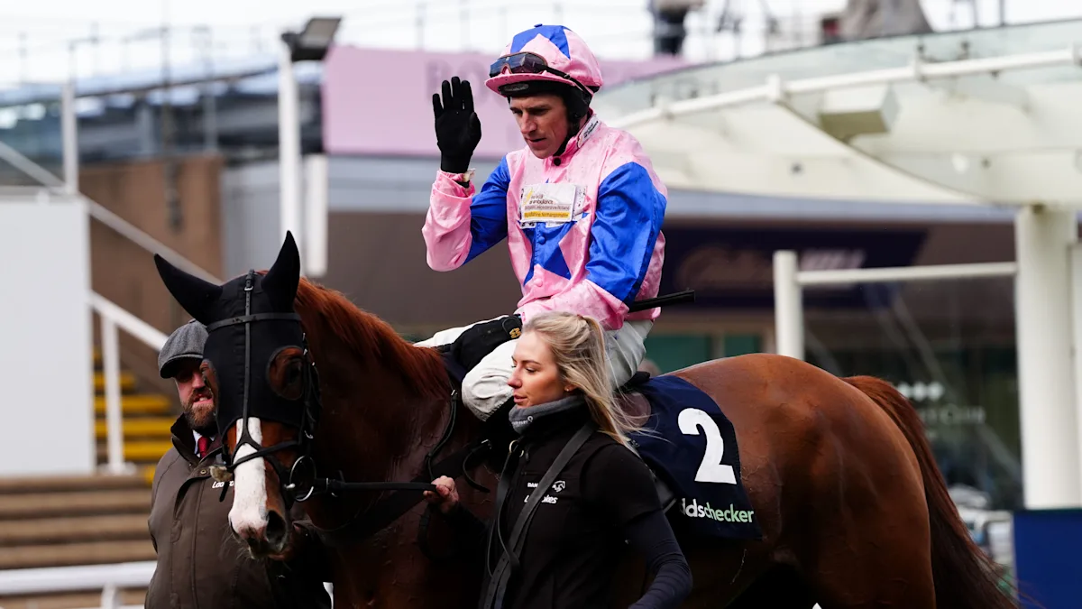 Fortune De Mer horse racing injury