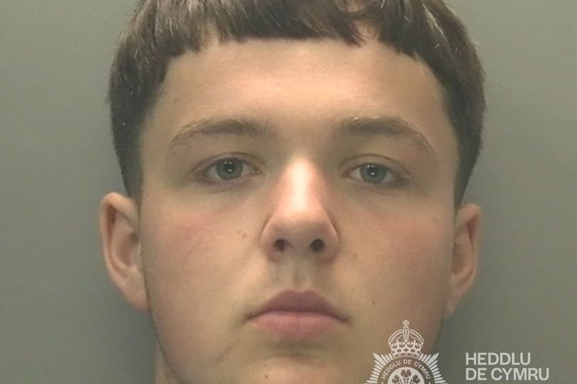 A descriptive image of a grinning murderer, with a focus on the true crime story and the importance of understanding human behaviour, including the colour of their personality and the repercussions of their actions