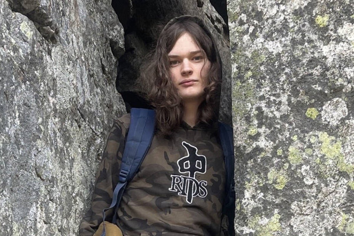 A descriptive image of a person looking at a computer screen with a concerned expression, representing the alarm raised by OpenAI employees about a mass shooting suspect, with a focus on artificial intelligence and violent behaviour