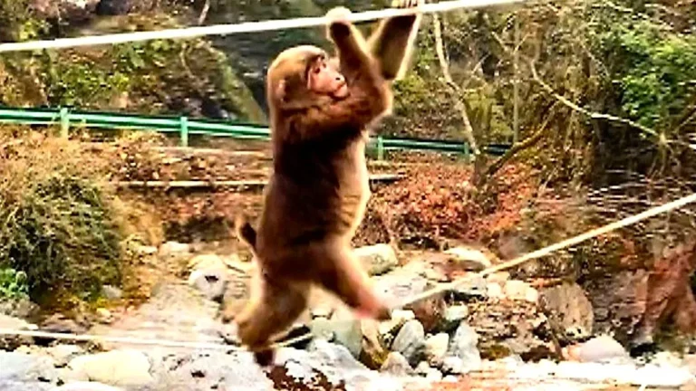 UK finance news and trends