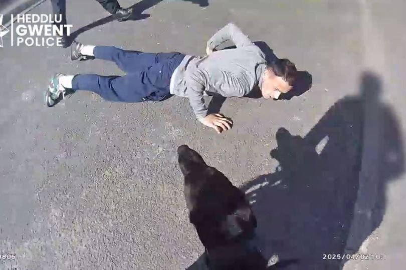 A handcuffed prisoner being led away by authorities, with a faint image of a hospital in the background, highlighting the primary keyword of prison escape