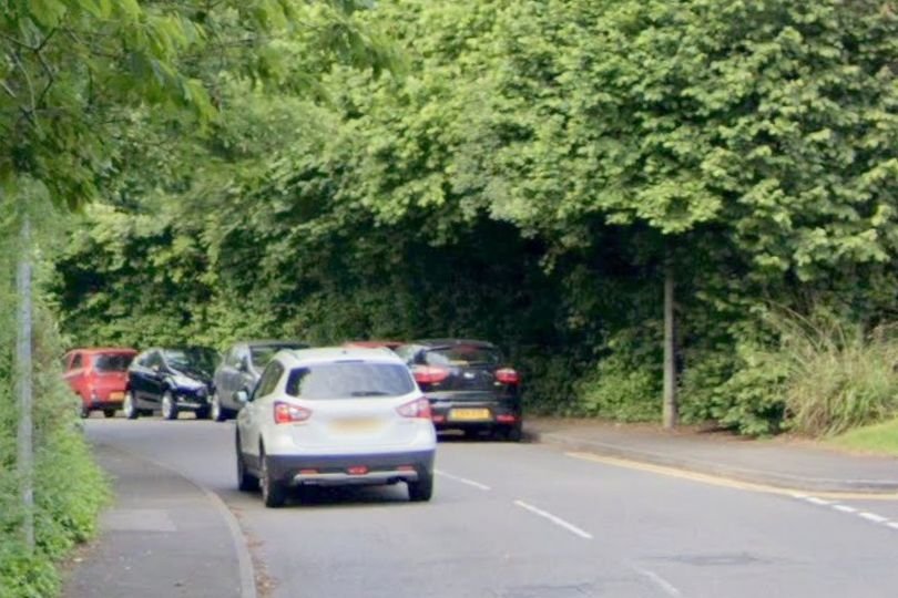 A woman intervening in an alleged abduction attempt in Cardiff, saving a teenager from potential harm, with a city bus in the background