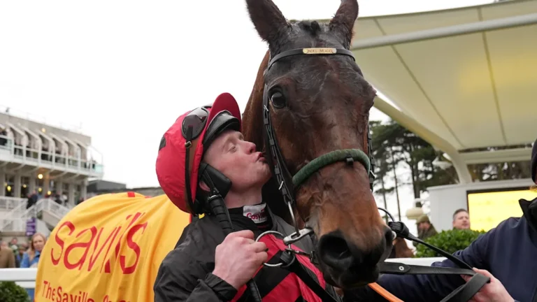 Affordale Fury in action at Leopardstown