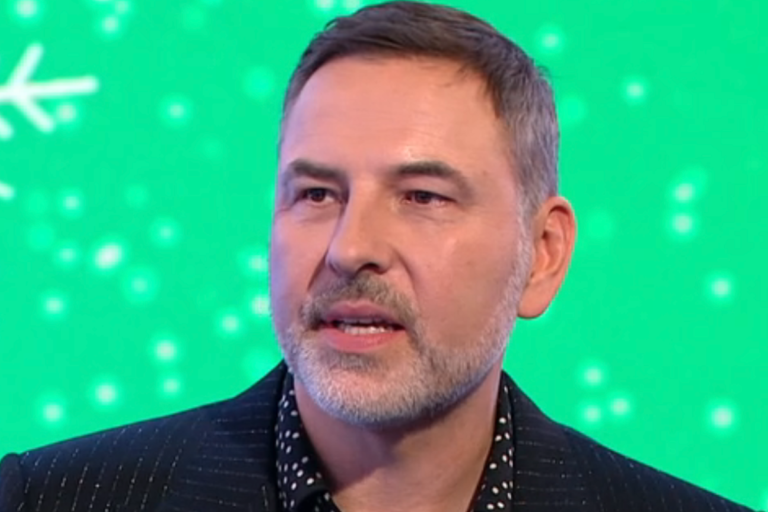 David Walliams on Would I Lie to You