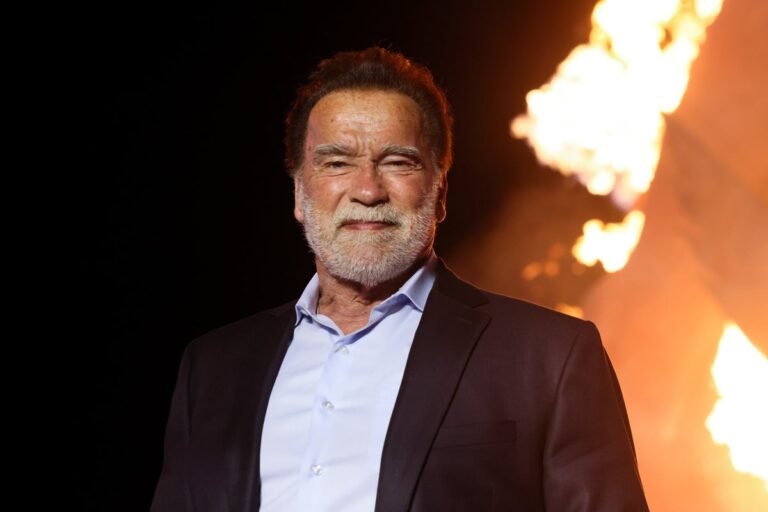 Arnold Schwarzenegger as the Terminator, a cyborg assassin with a mission to protect John Connor, the future leader of the human resistance, with a determination to analyse and destroy the enemy