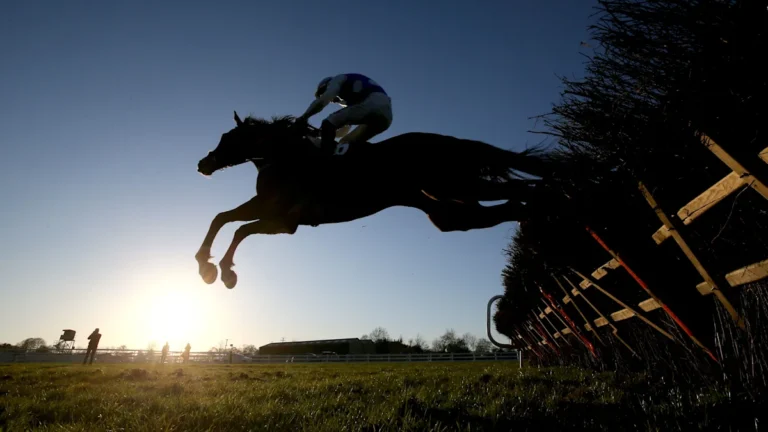 Naas and Exeter horse racing event