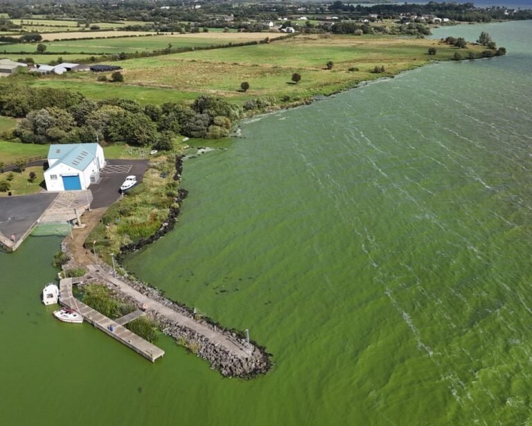 Aerial view of the UK's largest lake, with a murky and polluted area visible, highlighting the presence of superbug-creating genes and the need for environmental protection, with a focus on the primary keyword phrase 'superbug genes'