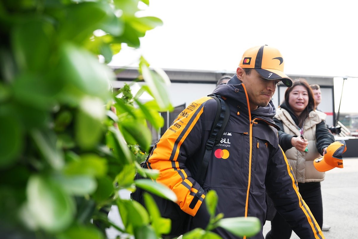 McLaren's Lando Norris and Oscar Piastri retire from the Chinese Grand Prix, a disappointing start to the season for the team, Formula 1 action