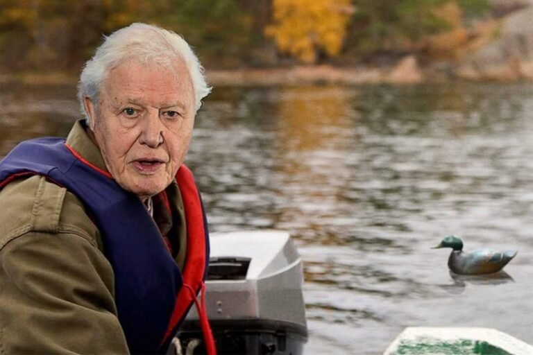 A photo of David Attenborough with a red flag indicating a scam, with a caption warning about the dangers of fraudsters impersonating celebrities to deceive unsuspecting individuals, including the elderly and vulnerable, and the importance of verifying the authenticity of any email or phone call