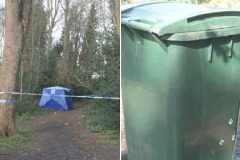 A photo of a police officer examining a bin where an unidentified man's body was found with a distinctive snake tattoo, highlighting the need for community awareness and vigilance in the area, with a focus on the snake tattoo as a key factor in the investigation