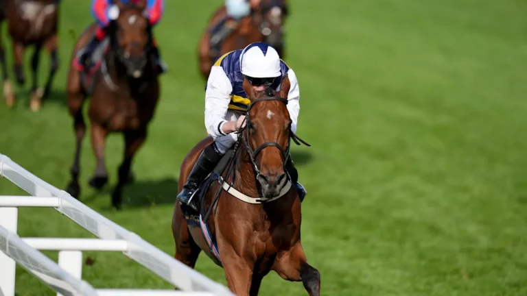 Royal Ascot winner in action at Punchestown