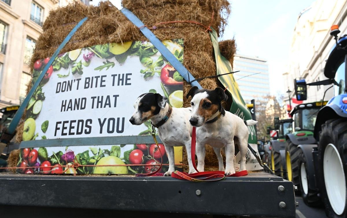 Inheritance tax reform report author gagged