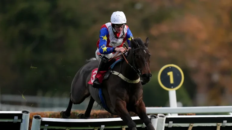 Hurricane Pat running at Haydock racecourse