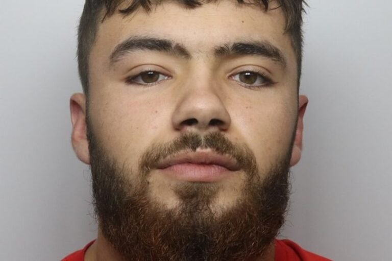 A descriptive image of a busy Midland street with people watching in horror as a knifeman stabs a man, highlighting the need for increased public safety measures and a more comprehensive approach to addressing violent behaviour