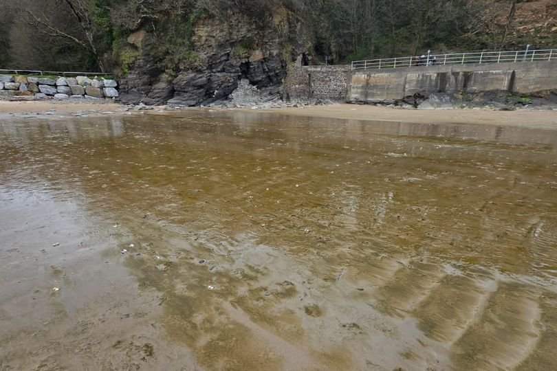 A favourite Welsh beach overrun with thick brown sludge, a mixture of mud and decaying plant matter, as the Easter holidays approach, highlighting the need for increased coastal management and environmental protection