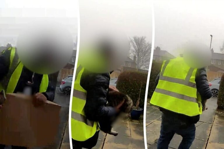 Amazon driver stealing a cat from a customer's home during parcel delivery, highlighting the importance of animal welfare and customer trust
