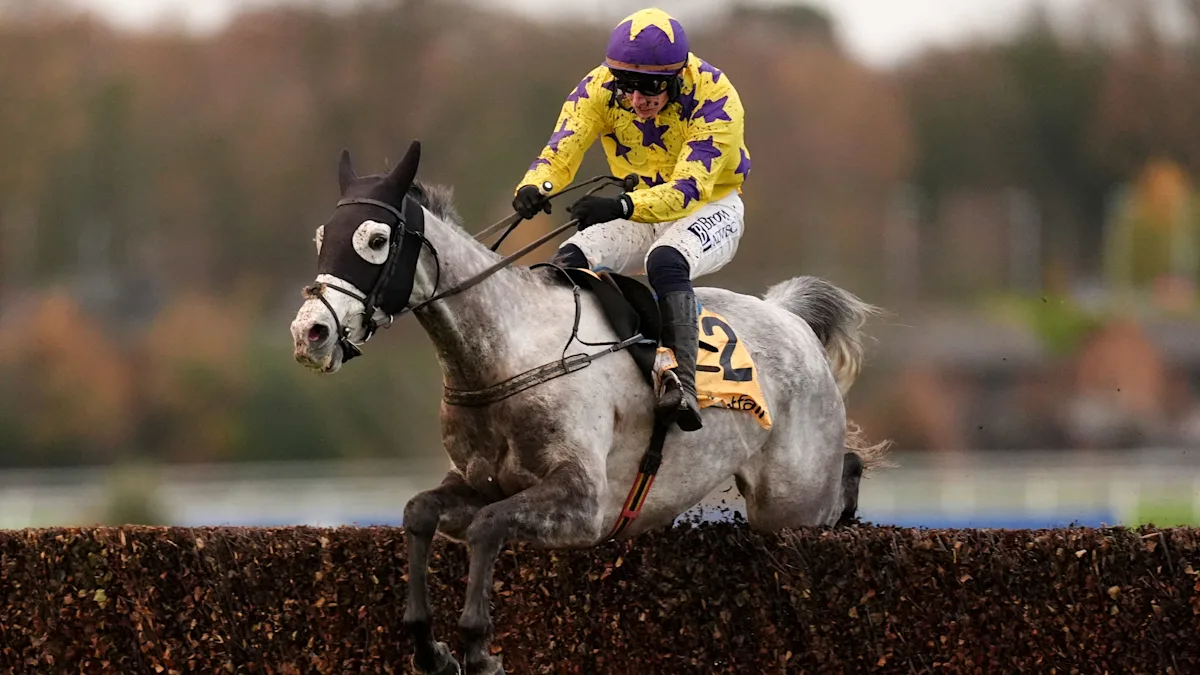 Clarence House Chase horses racing