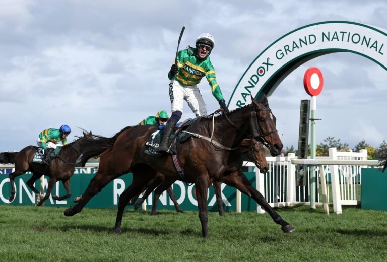 I Am Maximus in action at the Grand National, navigating the challenging course with ease and precision, showcasing its exceptional speed and agility, with the primary keyword Grand National featured prominently