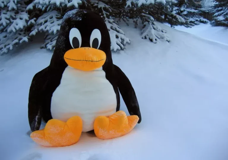 Adobe Photoshop on Linux screenshot