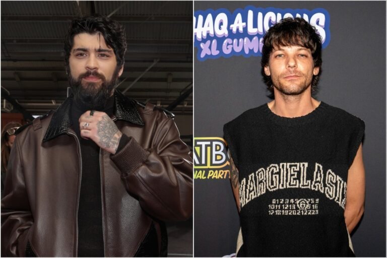 Zayn Malik and Louis Tomlinson on set, with a description of the alleged altercation and the Netflix director's response, including the impact on the project and the behaviour of celebrities