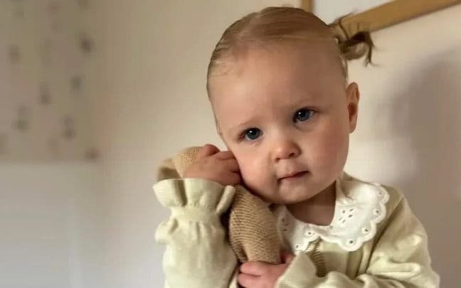 Toddler falls into pond on Christmas Day