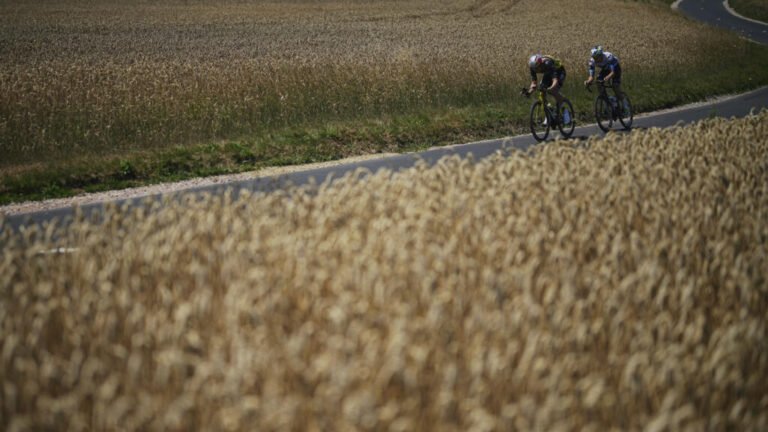 Cadmium contamination in French soil and crops is a growing concern, with the toxic substance posing serious health risks to consumers. The French government is under pressure to take action to address the issue, including implementing stricter regulations on the use of cadmium in agriculture and providing more information to consumers about the risks associated with cadmium exposure. The presence of cadmium in French crops and soil has significant implications for public health, with the toxic substance known to cause kidney damage and other serious health problems. As the situation continues to unfold, it is essential that the French government prioritizes the issue and takes immediate action to protect consumers and mitigate the risks associated with cadmium contamination.