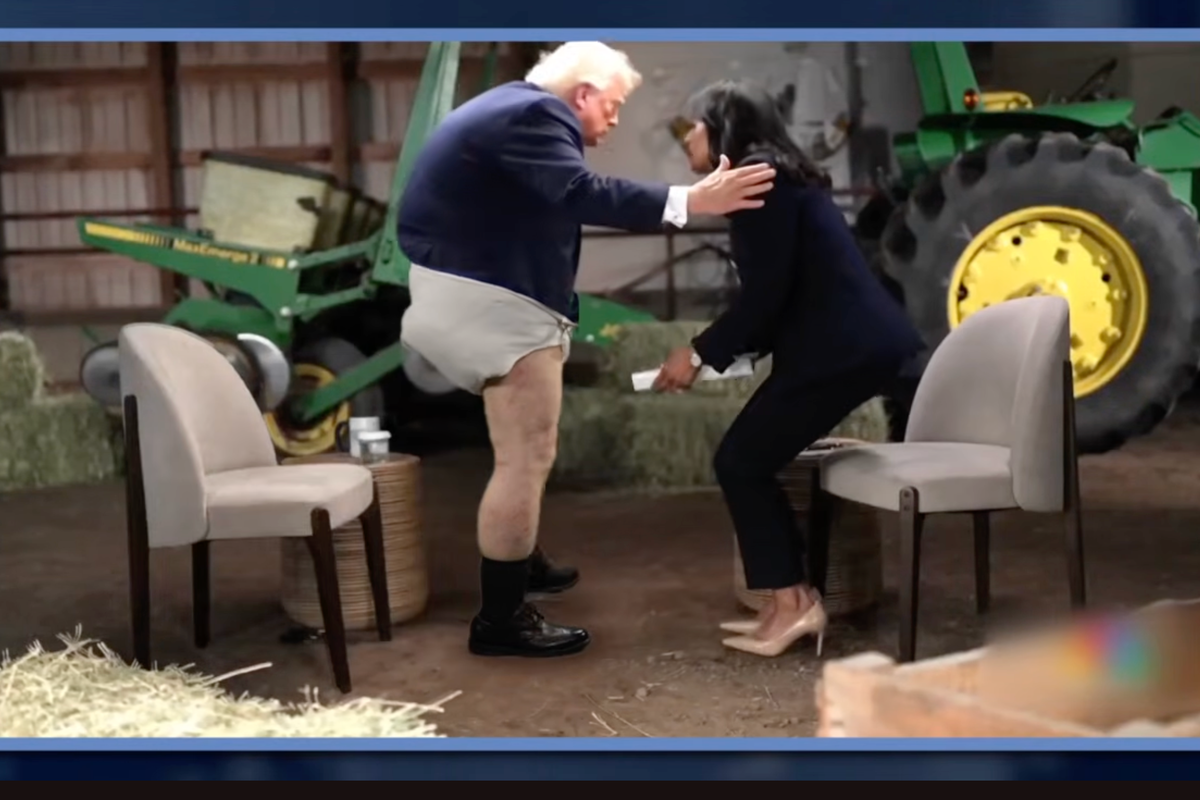 Jimmy Kimmel's satirical image of Donald Trump in a diaper, mocking the president's behaviour and sparking debate on the role of humour in politics, with a focus on the colour and tone of the image, which is a clever way of analysing the situation