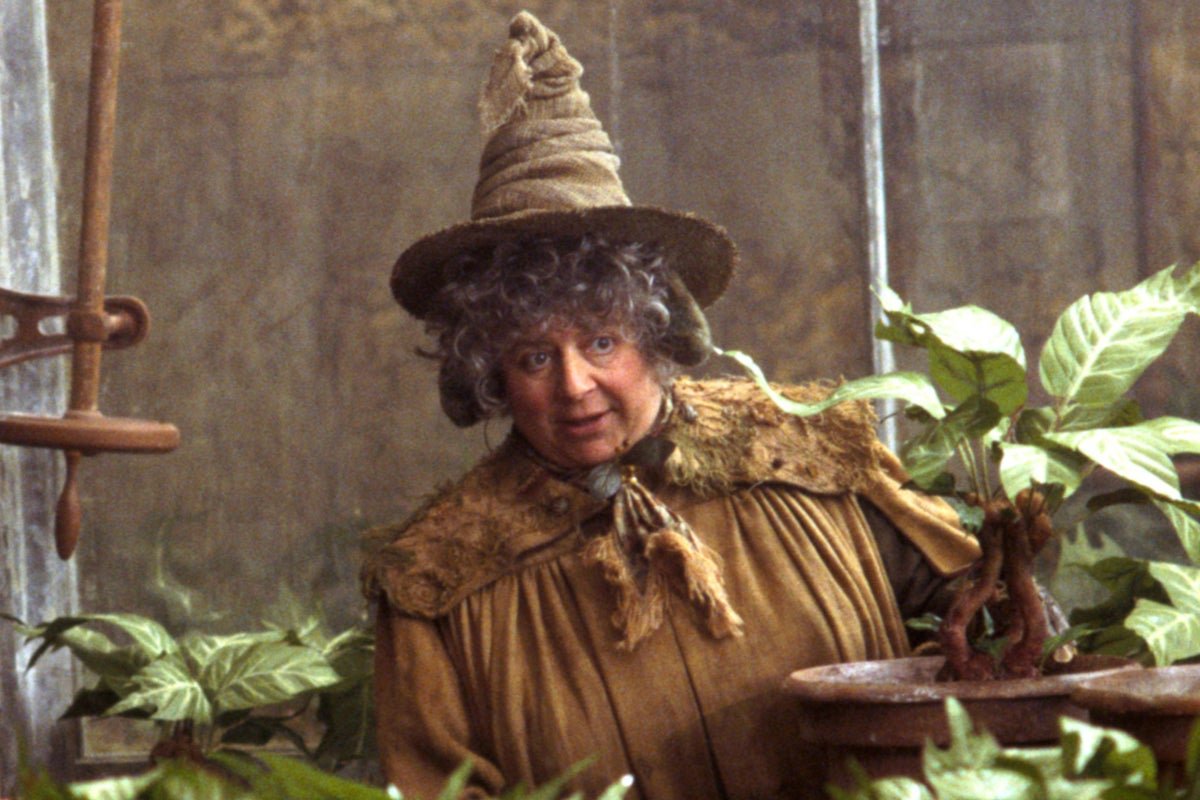 Miriam Margolyes on Cameo, a platform where celebrities offer personalised messages and content to their fans, with a focus on celebrity endorsements and online platforms