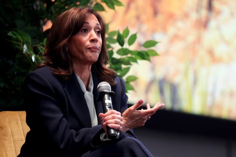 Kamala Harris speaking at a podium, with a backdrop of the US flag, discussing Supreme Court expansion and the need to address 'red state cheating' in the US judicial system, with a focus on promoting fairness and equality
