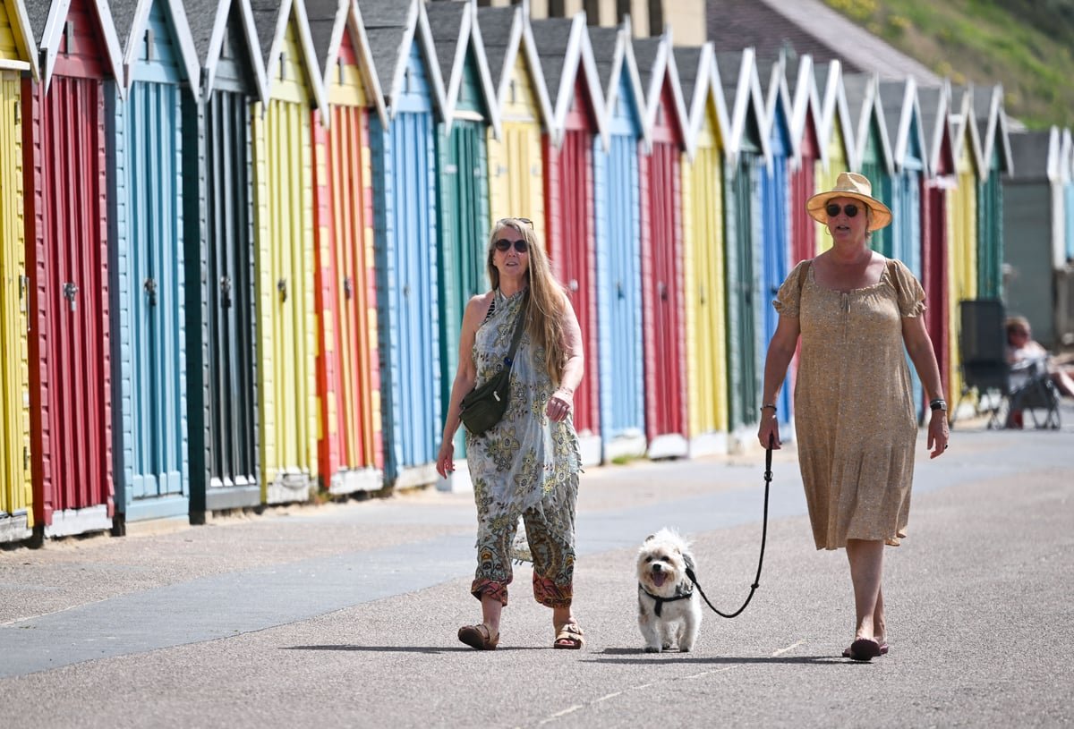 A dog walking in a shaded area on a hot summer day, with a description of the primary keyword phrase 'heatwave dog walking' and the importance of keeping your pet safe during extreme temperatures