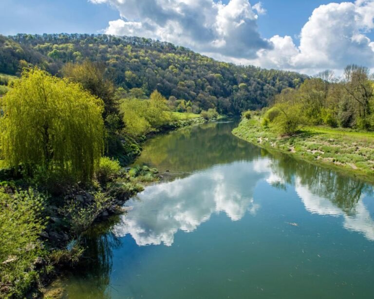The River Wye, a stunning waterway in the UK, has been formally recognised as a living ecosystem with intrinsic rights, showcasing its beauty and importance as a natural habitat for a wide variety of flora and fauna, and demonstrating the need for sustainable practices and environmental protection to preserve its delicate balance and ensure a sustainable future