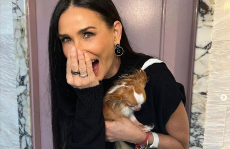 Demi Moore's dog Pilaf, a beloved and adorable canine companion, has sadly passed away, leaving a void in the actress's life and the lives of those who knew and loved the dog, a true celebrity pet