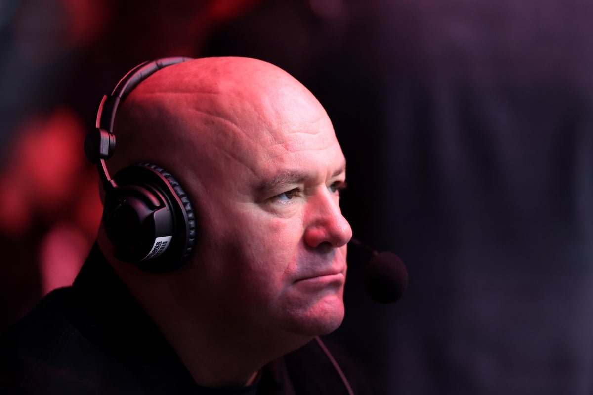 A dramatic image of a UFC fighter in action, with a crowd of spectators in the background, highlighting the excitement and drama of mixed martial arts, with a focus on the UFC and its athletes
