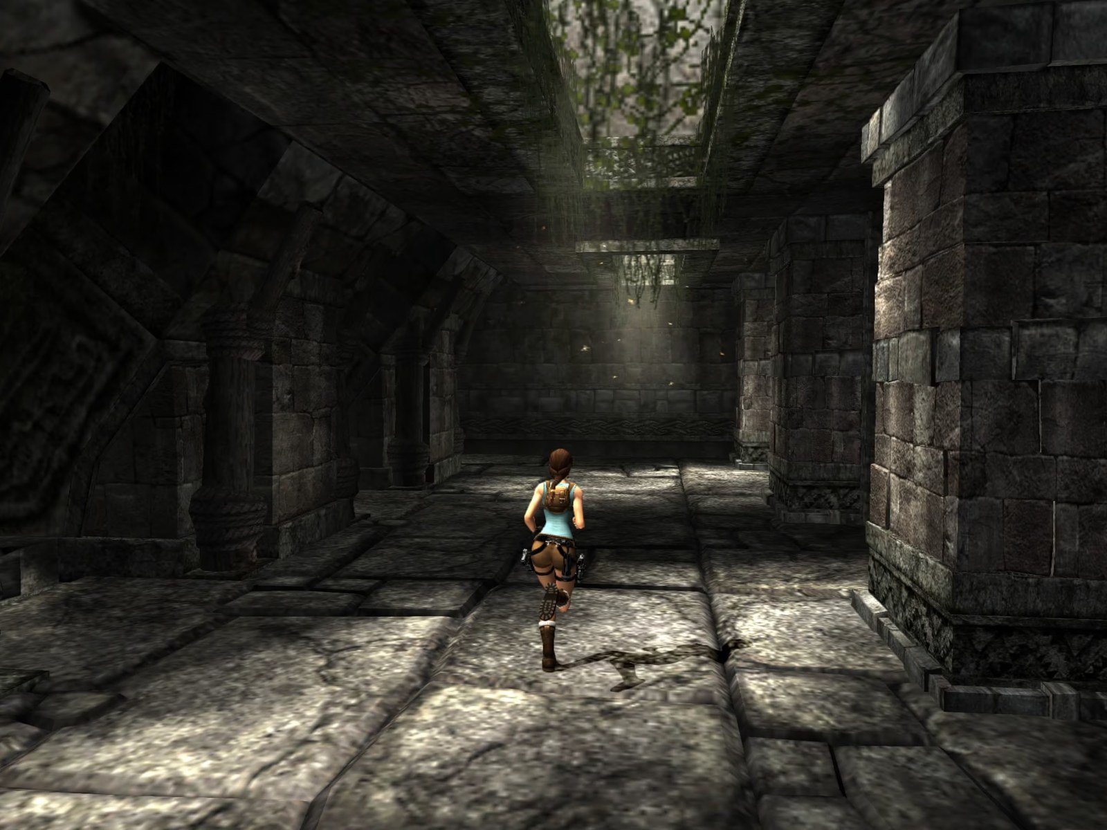 Tomb Raider: Anniversary game cover