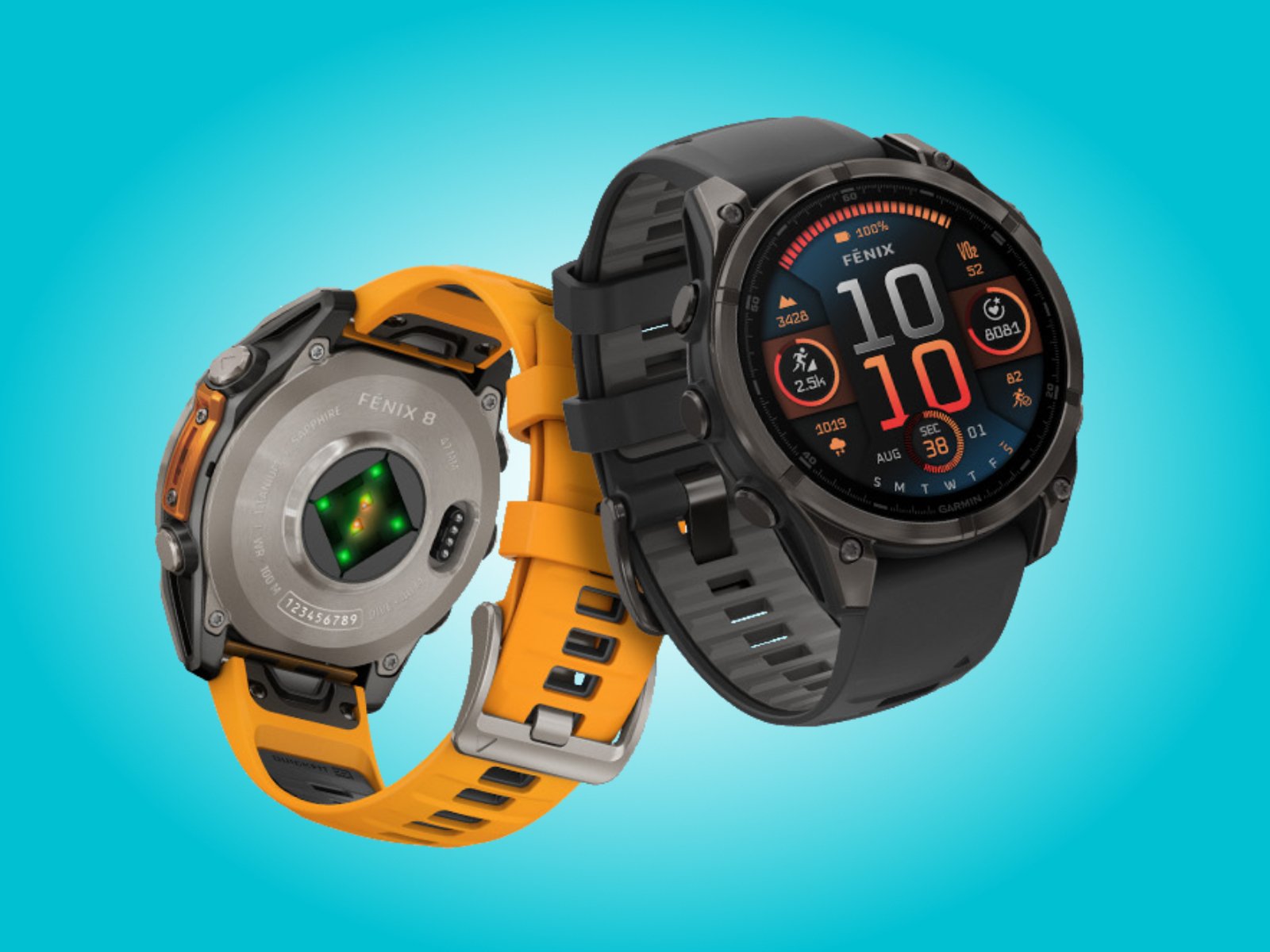 Garmin smartwatch update