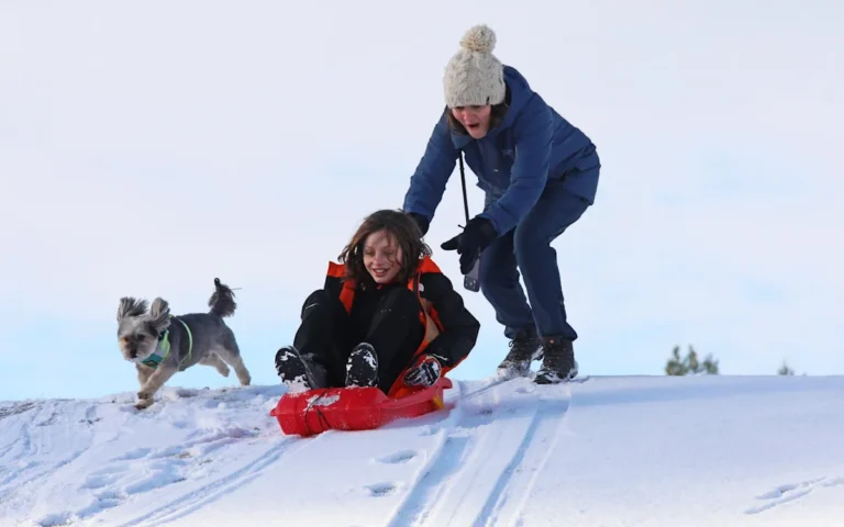A photograph of a snowy landscape in Britain, with the caption Snowstorm Pedro is expected to bring significant snowfall and disruption to the region, prompting warnings from meteorologists and emergency services, with a focus on the winter storm