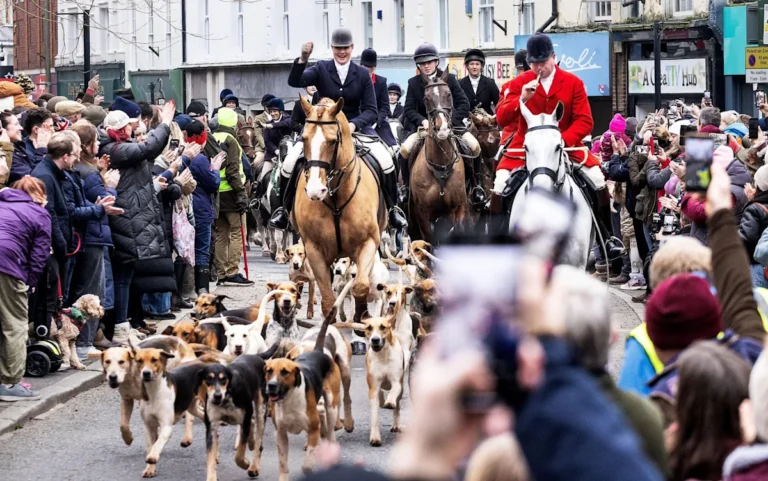 fox hunting in the uk countryside