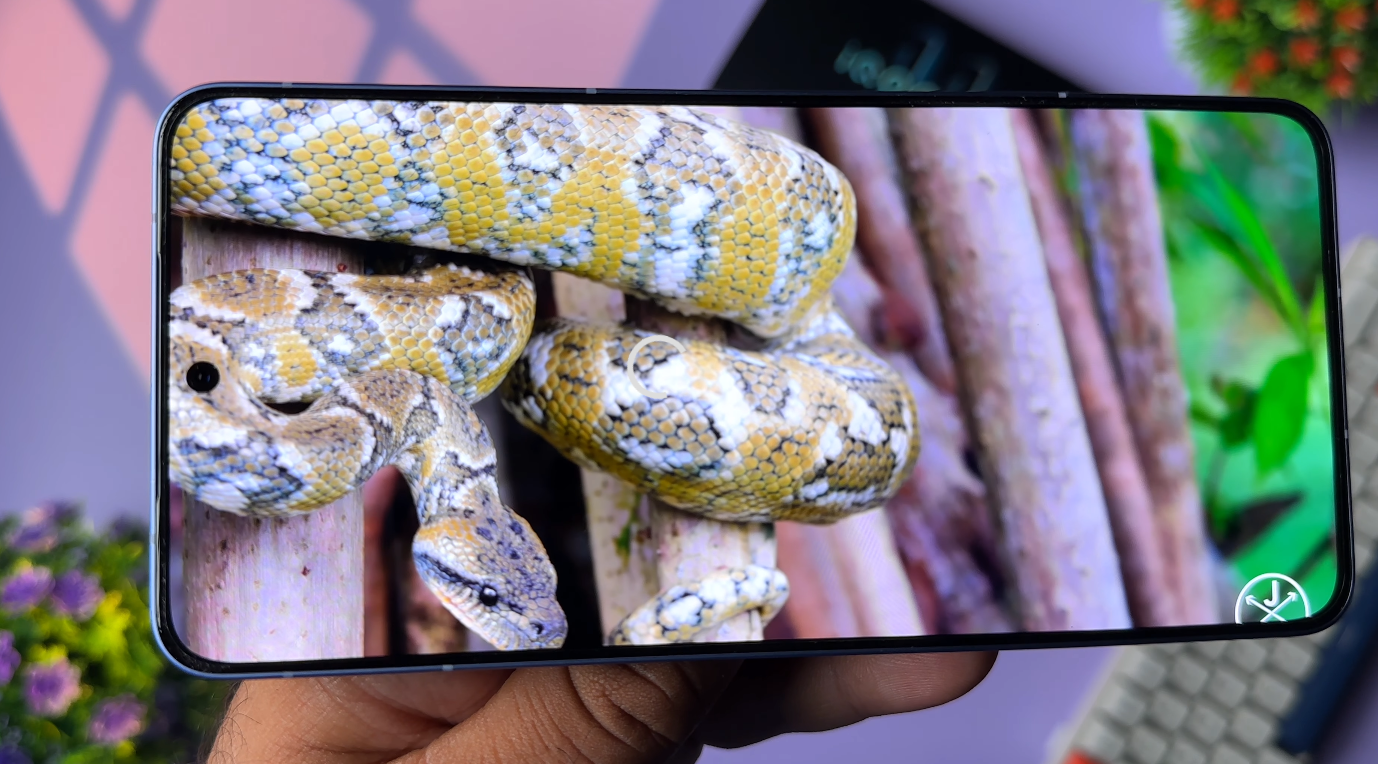 iQOO Neo 11 release timing speculation circulates in Canada